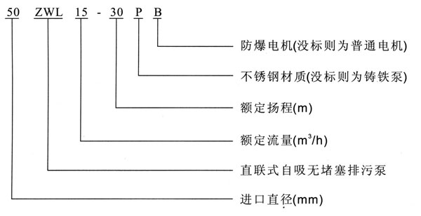 ZWL直聯式自吸草莓视频APP下载汚型號意義