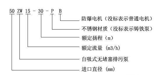 ZWB防爆自吸式無堵塞草莓视频APP下载汚型號意義